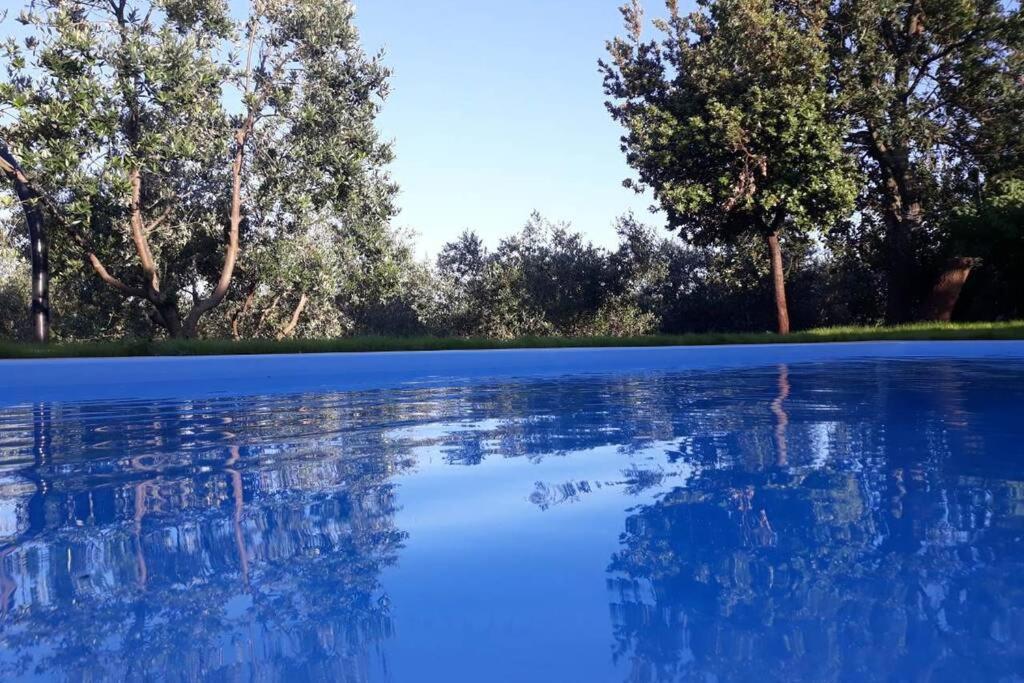 Zelena Kuca- Green House Ližnjan Εξωτερικό φωτογραφία