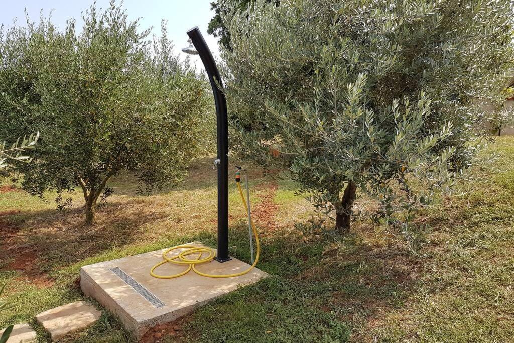 Zelena Kuca- Green House Ližnjan Εξωτερικό φωτογραφία