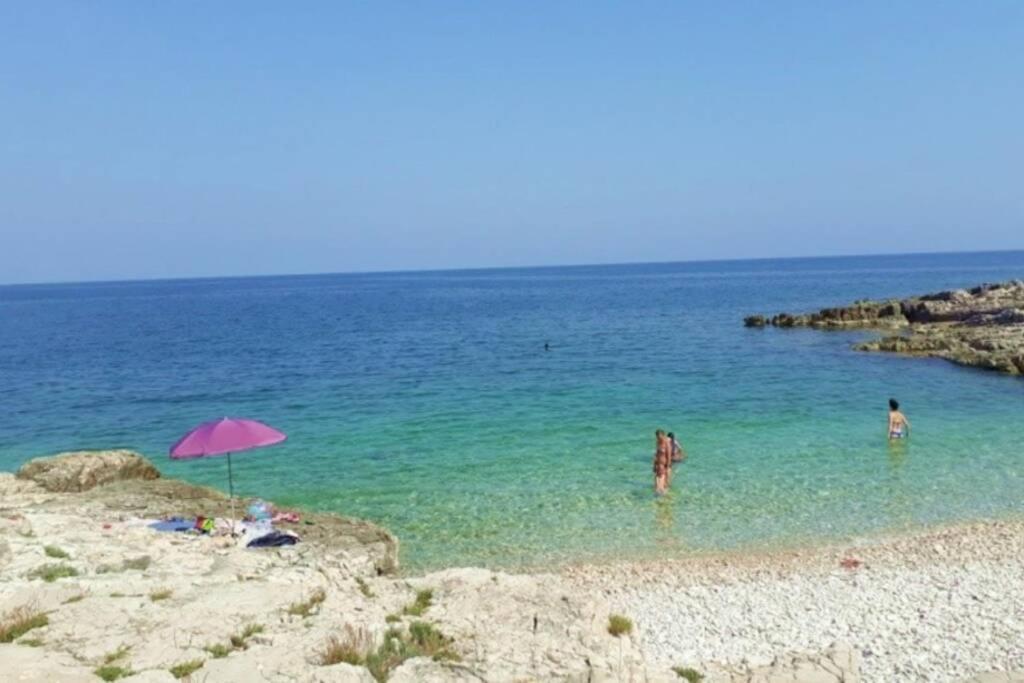 Zelena Kuca- Green House Ližnjan Εξωτερικό φωτογραφία