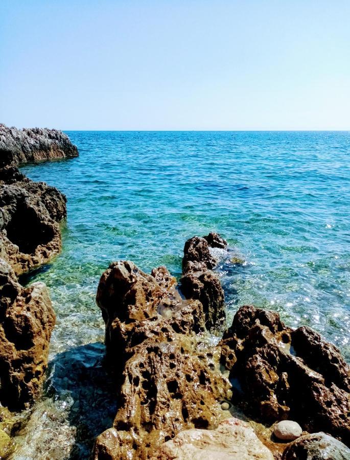 Zelena Kuca- Green House Ližnjan Εξωτερικό φωτογραφία