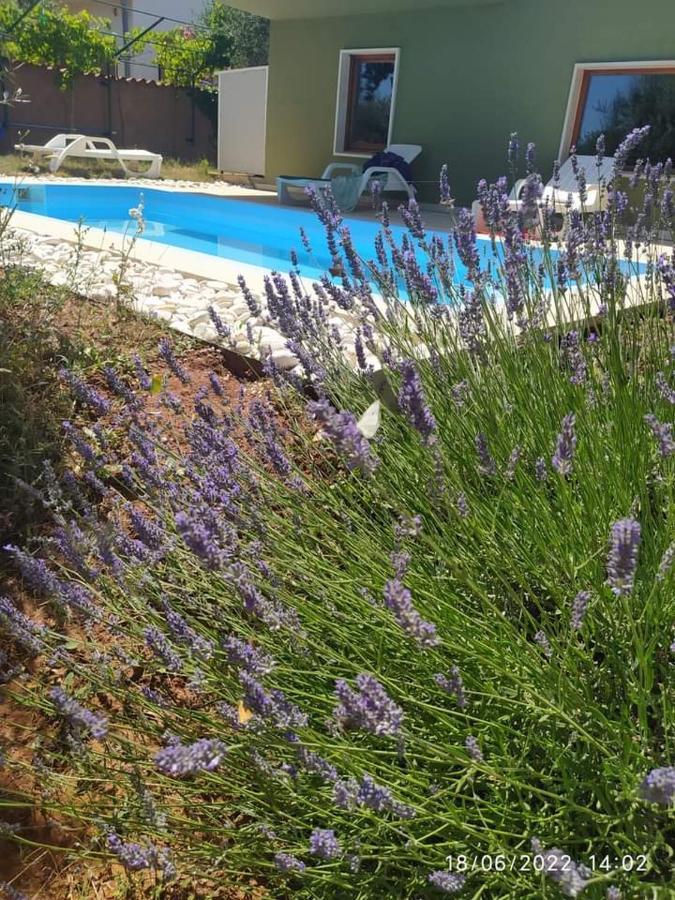 Zelena Kuca- Green House Ližnjan Εξωτερικό φωτογραφία